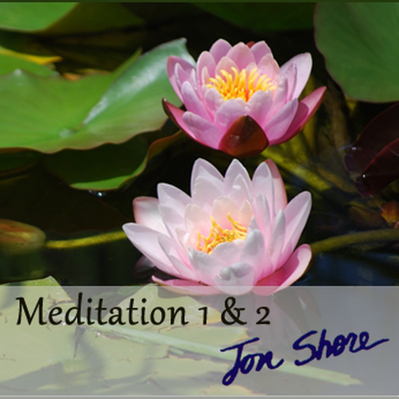 Meditation 1 and 2 by Jon Shore